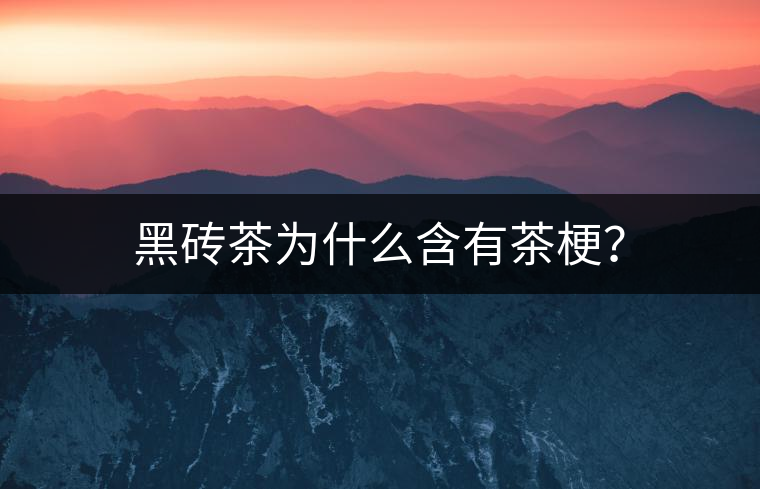 黑磚茶為什么含有茶梗？