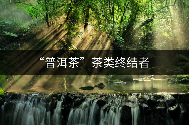 “普洱茶”茶類終結者
