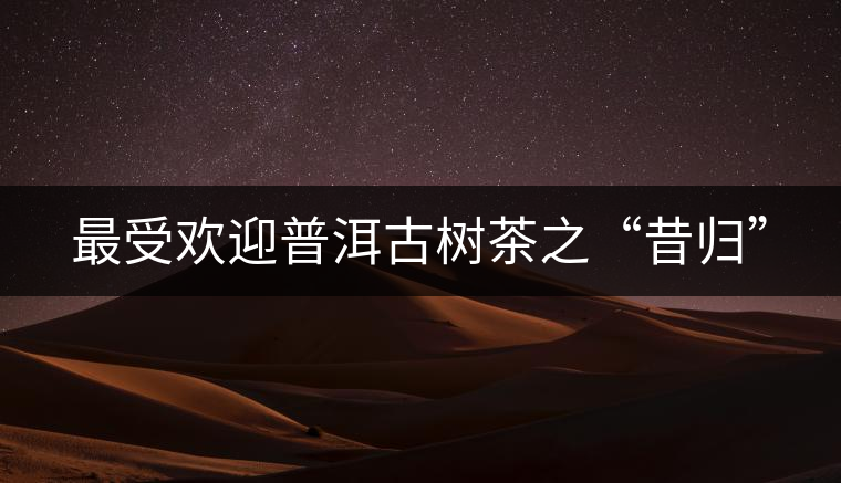 最受歡迎普洱古樹(shù)茶之“昔歸”