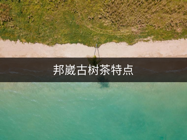邦崴古樹茶特點