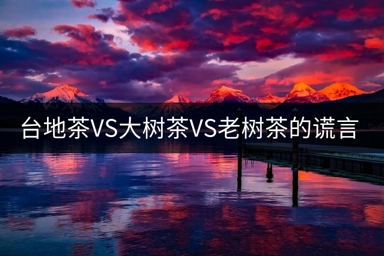 臺(tái)地茶VS大樹茶VS老樹茶的謊言你信幾個(gè)？