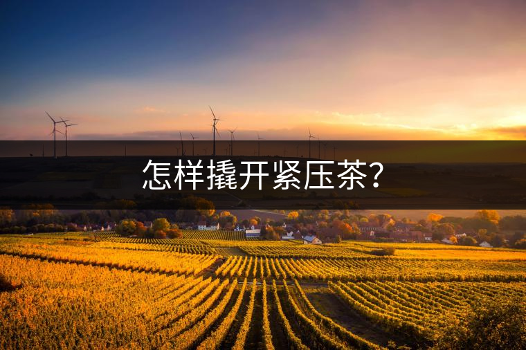 怎樣撬開(kāi)緊壓茶？