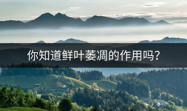 你知道鮮葉萎凋的作用嗎？