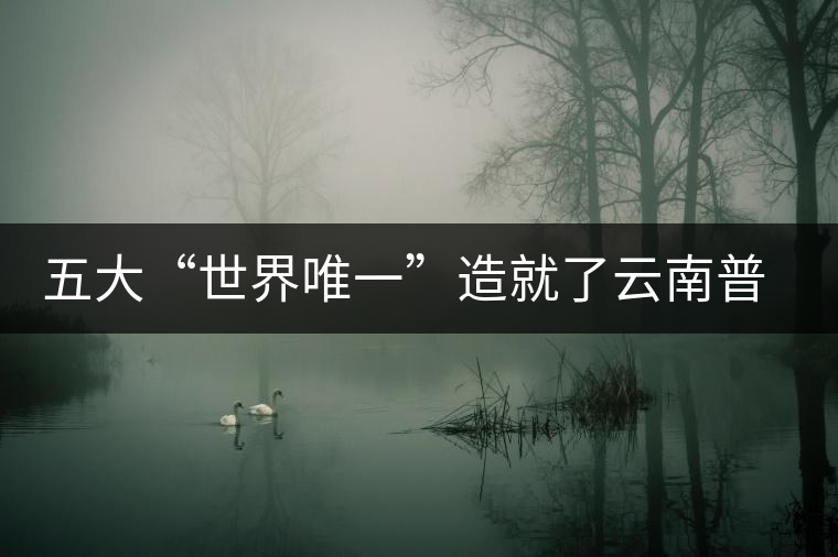 五大“世界唯一”造就了云南普洱茶的獨(dú)一無二 五大“世界唯一”造就了云南普洱茶的獨(dú)一無二