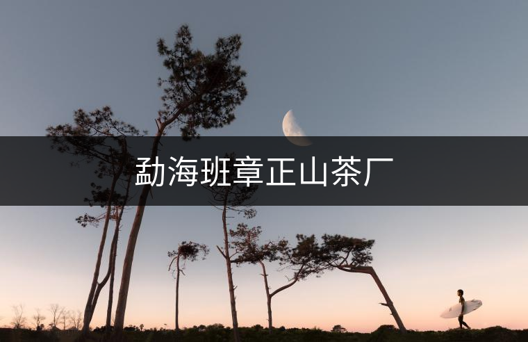 勐海班章正山茶廠(chǎng) 勐海班章正山茶廠(chǎng)