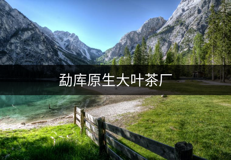 勐庫原生大葉茶廠 勐庫原生大葉茶廠