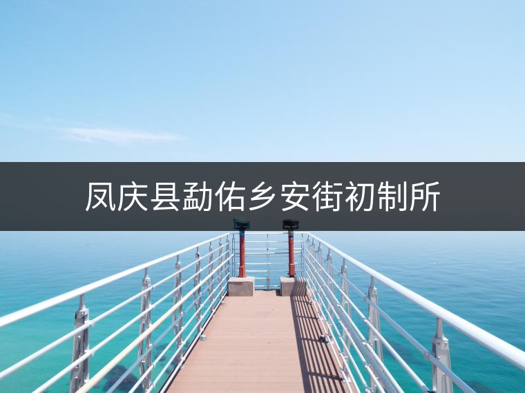 鳳慶縣勐佑鄉(xiāng)安街初制所 鳳慶縣勐佑鄉(xiāng)安街初制所