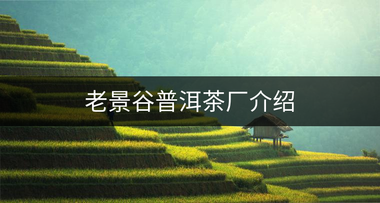 老景谷普洱茶廠介紹 老景谷普洱茶廠介紹