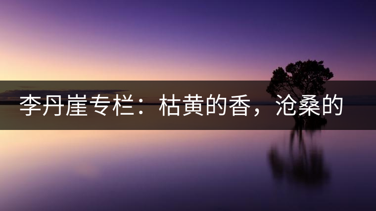 李丹崖專欄：枯黃的香，滄桑的暖