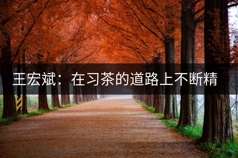 王宏斌:在習(xí)茶的道路上不斷精進(jìn) 王宏斌:在習(xí)茶的道路上不斷精進(jìn)