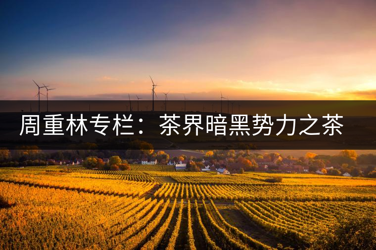 周重林專欄：茶界暗黑勢力之茶混