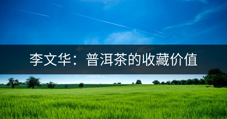 李文華：普洱茶的收藏價(jià)值