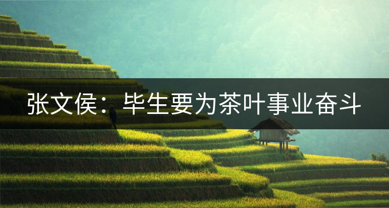 張文侯:畢生要為茶葉事業(yè)奮斗 張文侯:畢生要為茶葉事業(yè)奮斗