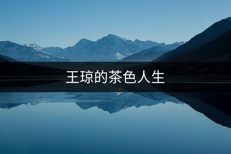 王瓊的茶色人生 王瓊的茶色人生
