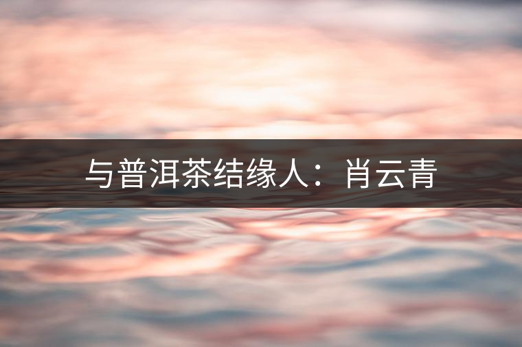 與普洱茶結緣人:肖云青 與普洱茶結緣人:肖云青