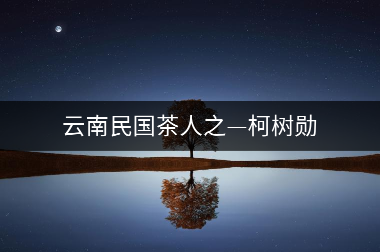 云南民國茶人之—柯樹勛