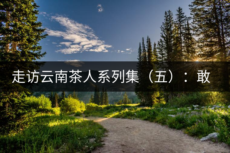 走訪云南茶人系列集(五):敢教“春芽”變“普洱”——王樹文 走訪云南茶人系列集(五):敢教“春芽”變“普洱”——王樹文