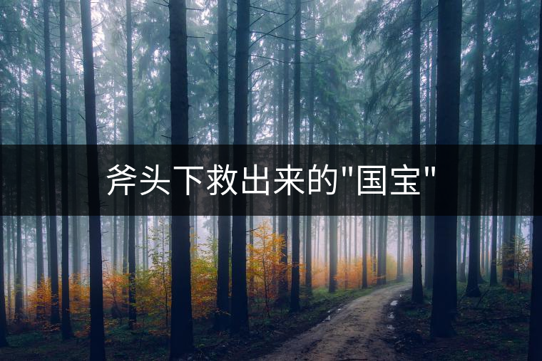 斧頭下救出來的 斧頭下救出來的