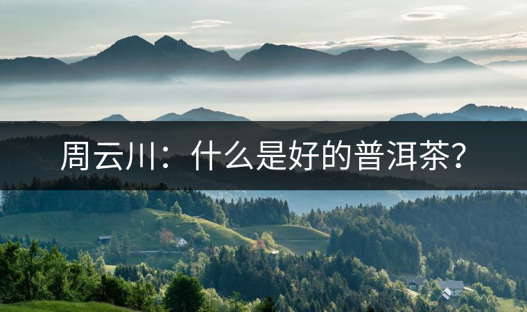 周云川：什么是好的普洱茶？