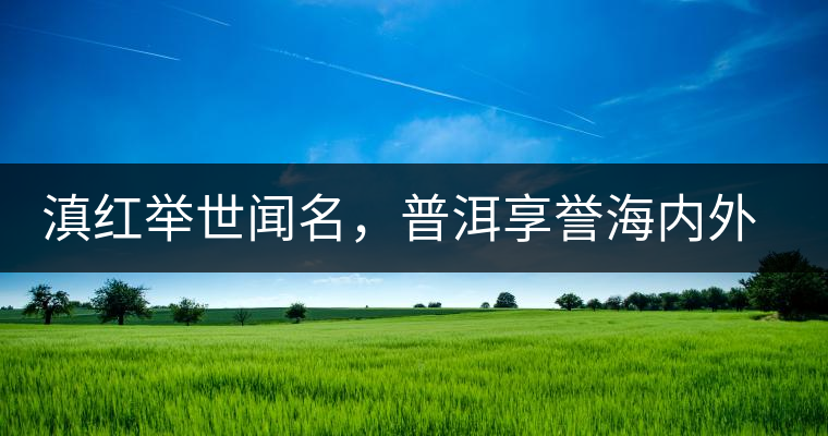 滇紅舉世聞名，普洱享譽海內(nèi)外丨專家座談——虞富蓮