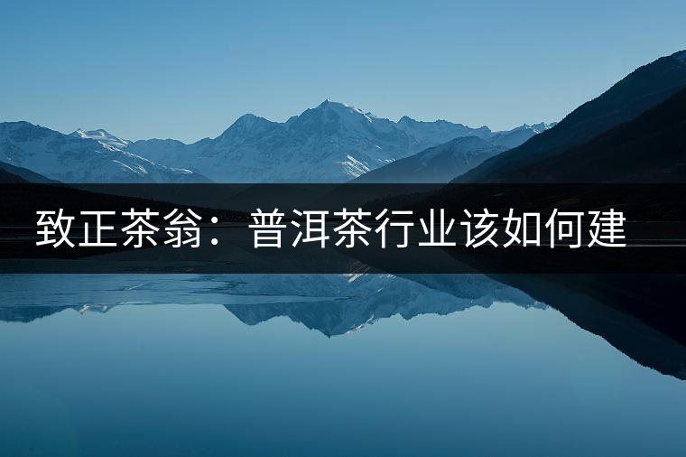 致正茶翁：普洱茶行業(yè)該如何建立正確的口感體系？