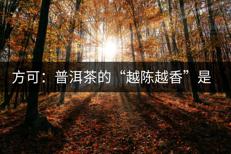 方可：普洱茶的“越陳越香”是有條件、有技術(shù)的