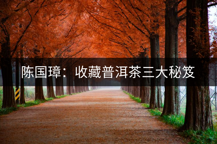 陳國璋:收藏普洱茶三大秘笈 陳國璋:收藏普洱茶三大秘笈