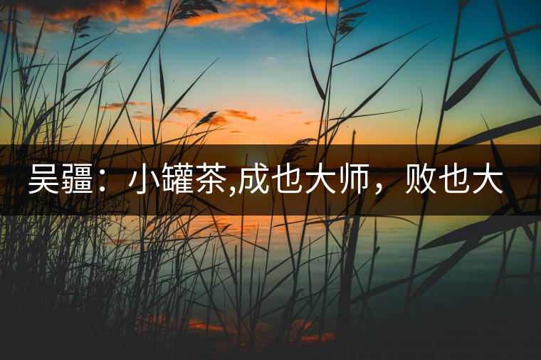 吳疆：小罐茶,成也大師，敗也大師