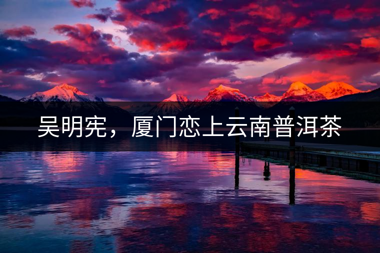 吳明憲，廈門戀上云南普洱茶