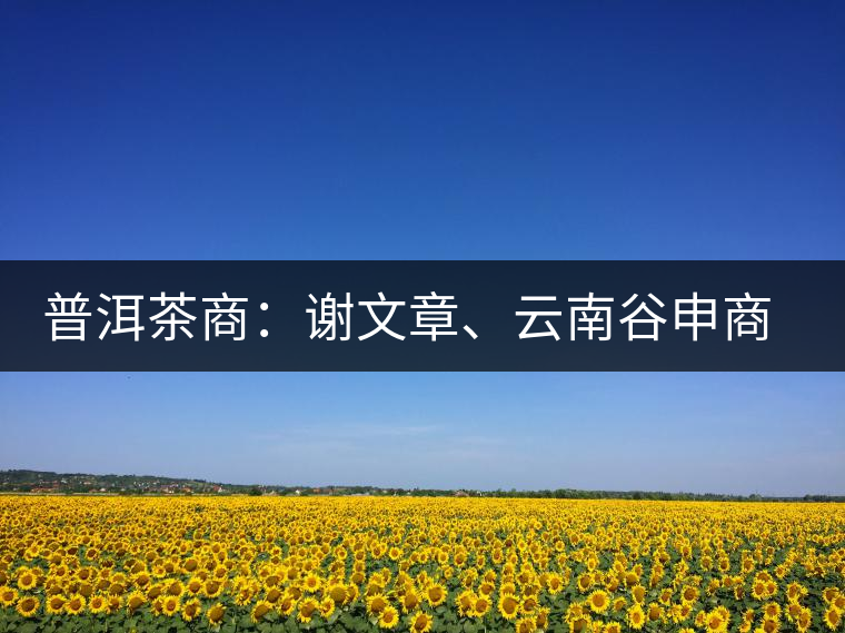 普洱茶商：謝文章、云南谷申商貿(mào)有限公司總經(jīng)理