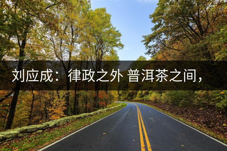 劉應成：律政之外 普洱茶之間，在峨毛茶上的三個首創(chuàng)