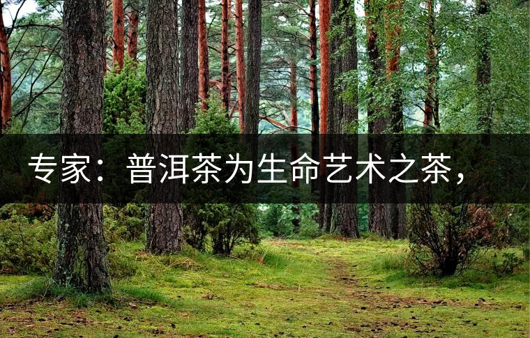 專家：普洱茶為生命藝術(shù)之茶，現(xiàn)低價(jià)時(shí)期可投資收茶