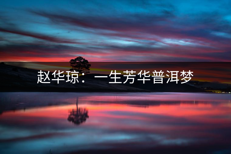 趙華瓊:一生芳華普洱夢 趙華瓊:一生芳華普洱夢