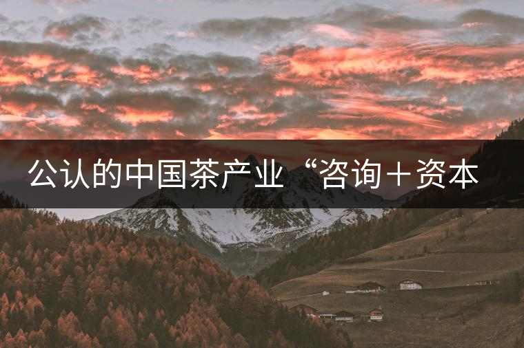 公認(rèn)的中國(guó)茶產(chǎn)業(yè)“咨詢＋資本”第一人：蔣同
