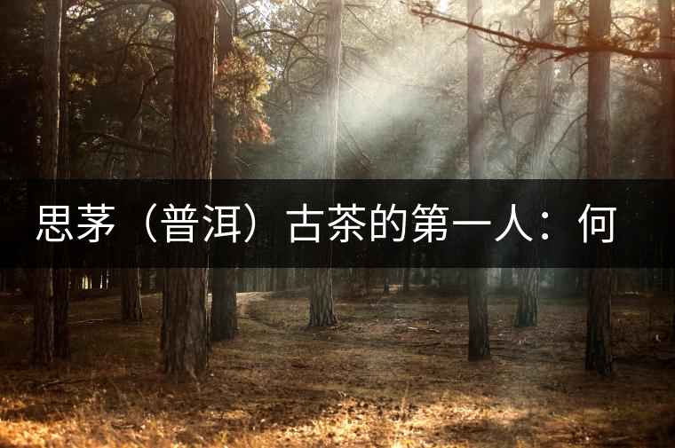 思茅（普洱）古茶的第一人：何仕華