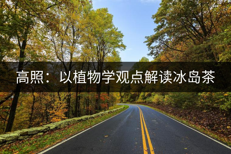 高照：以植物學(xué)觀點(diǎn)解讀冰島茶