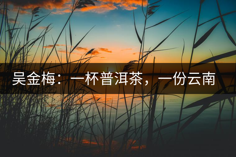 吳金梅：一杯普洱茶，一份云南情