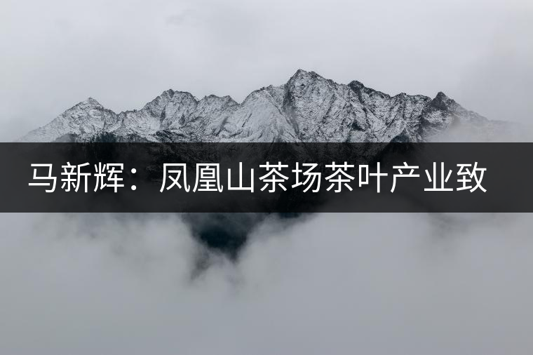 馬新輝:鳳凰山茶場茶葉產(chǎn)業(yè)致富帶頭人 馬新輝:鳳凰山茶場茶葉產(chǎn)業(yè)致富帶頭人