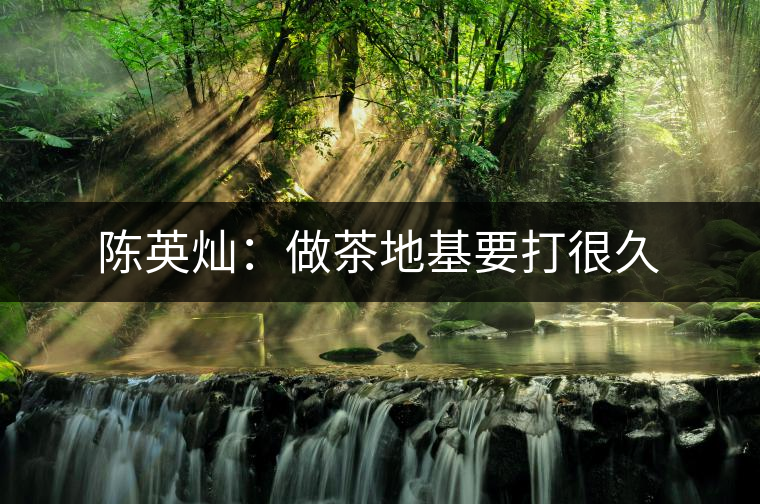 陳英燦:做茶地基要打很久 陳英燦:做茶地基要打很久