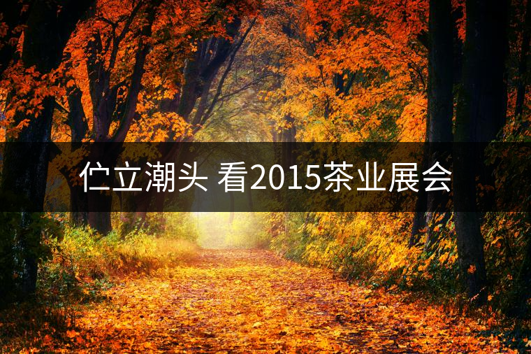 佇立潮頭 看2015茶業(yè)展會 佇立潮頭 看2015茶業(yè)展會