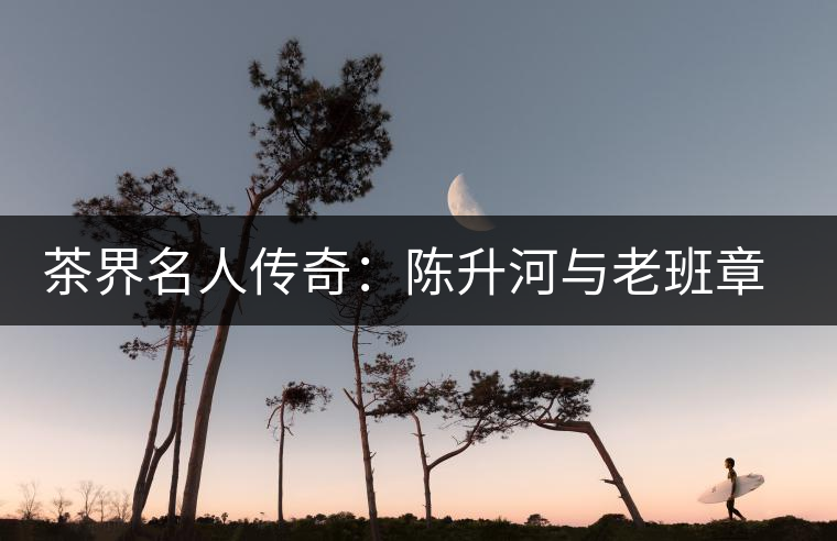 茶界名人傳奇:陳升河與老班章的故事 茶界名人傳奇:陳升河與老班章的故事