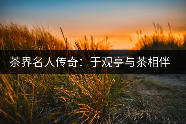 茶界名人傳奇:于觀亭與茶相伴是美麗的“錯誤” 茶界名人傳奇:于觀亭與茶相伴是美麗的“錯誤”
