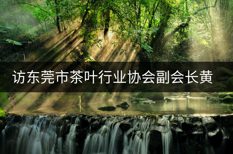 訪東莞市茶葉行業(yè)協(xié)會副會長黃志芳 訪東莞市茶葉行業(yè)協(xié)會副會長黃志芳