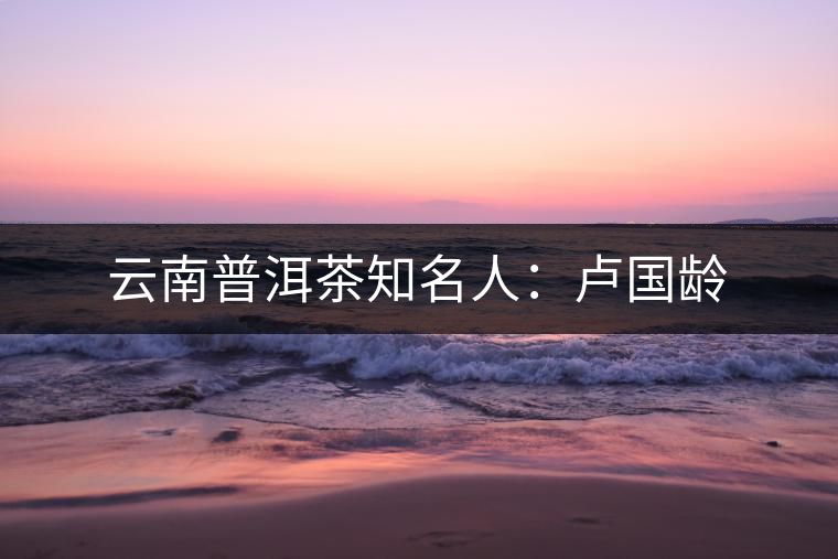 云南普洱茶知名人：盧國齡