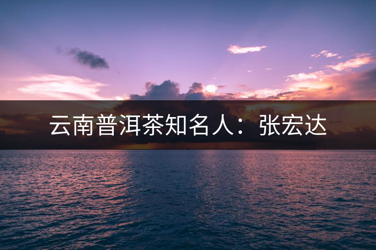 云南普洱茶知名人：張宏達