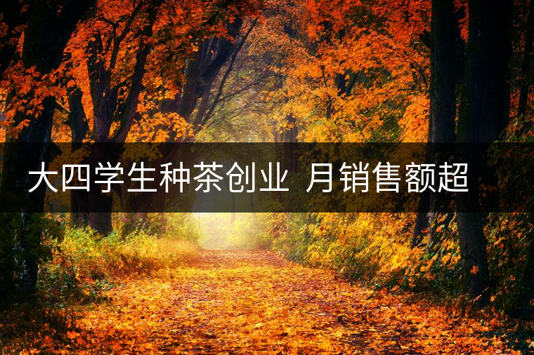 大四學(xué)生種茶創(chuàng)業(yè) 月銷售額超五十萬 大四學(xué)生種茶創(chuàng)業(yè) 月銷售額超五十萬