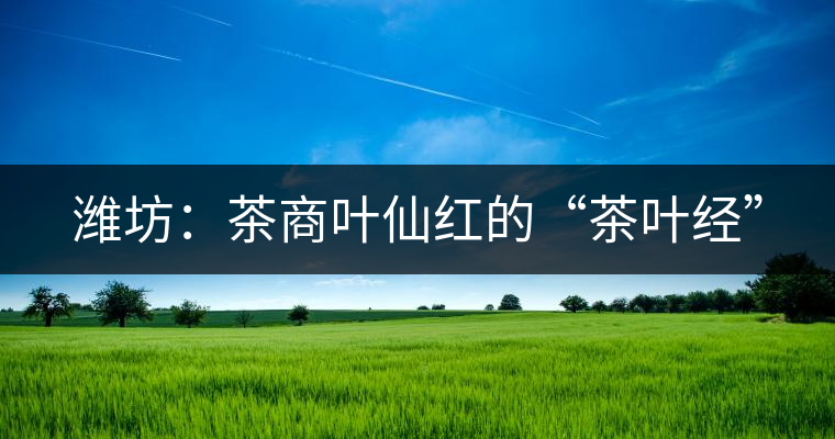 濰坊:茶商葉仙紅的“茶葉經” 濰坊:茶商葉仙紅的“茶葉經”