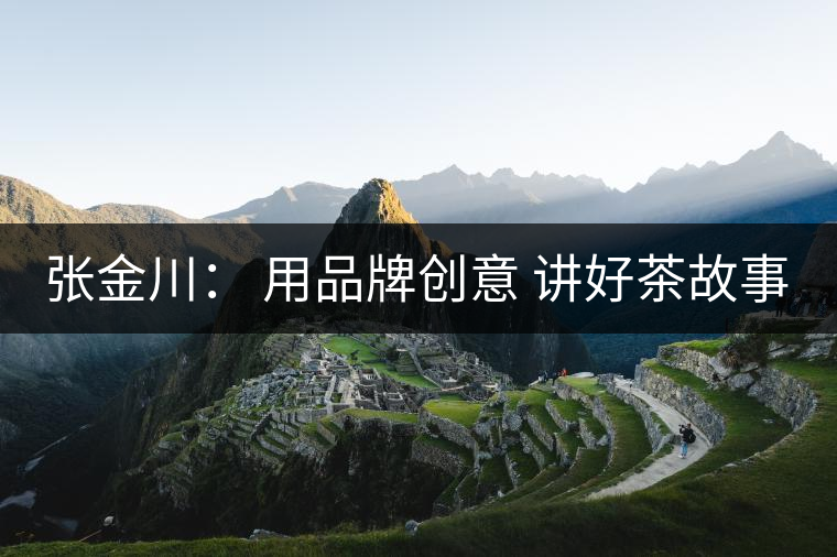 張金川： 用品牌創(chuàng)意 講好茶故事