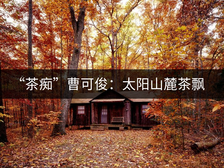 “茶癡”曹可?。禾柹铰床栾h香，清明時(shí)節(jié)采茶忙