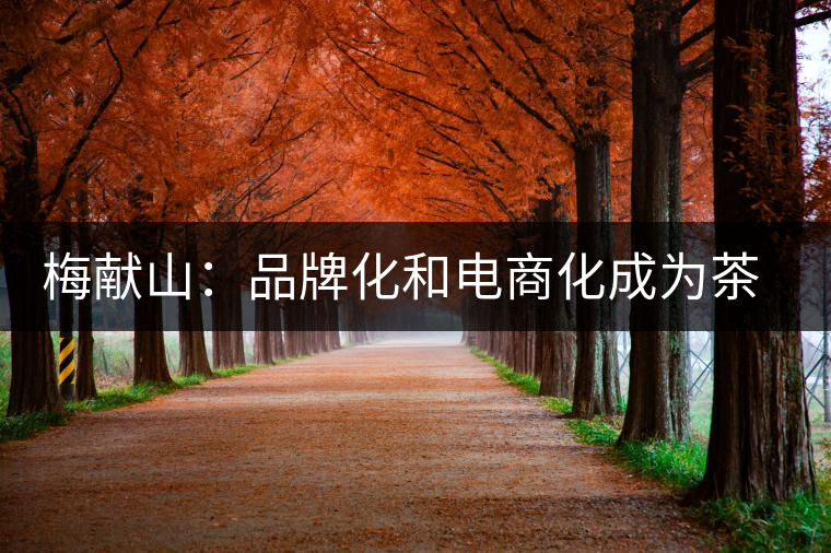 梅獻(xiàn)山:品牌化和電商化成為茶產(chǎn)業(yè)的第三個轉(zhuǎn)機 梅獻(xiàn)山:品牌化和電商化成為茶產(chǎn)業(yè)的第三個轉(zhuǎn)機